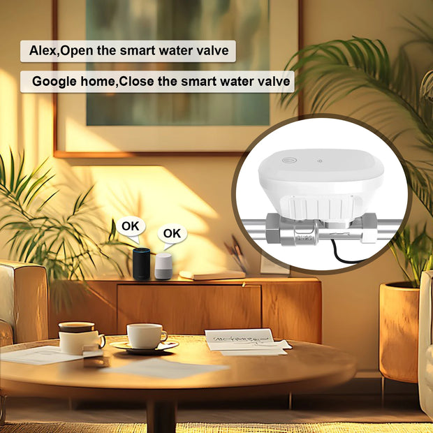 Tuya Water Valve WiFi Smart Control Water Flow Consumption Meter Automatic Irrigation Support Hot Water Alexa Home Assistant
