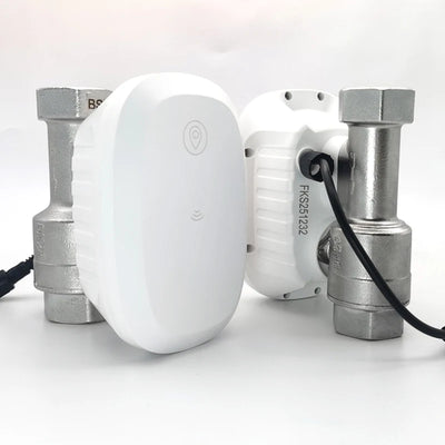 Tuya Water Valve WiFi Smart Control Water Flow Consumption Meter Automatic Irrigation Support Hot Water Alexa Home Assistant