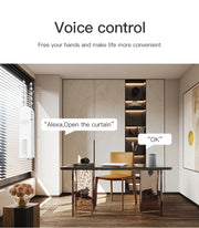 Tuya Smart Blind Motor Wifi Automatic Electric Roller Shutter Shadows App Control Lifting Curtain Opening Closing Driver